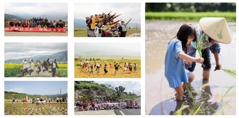 1683687250651908.png 5.png